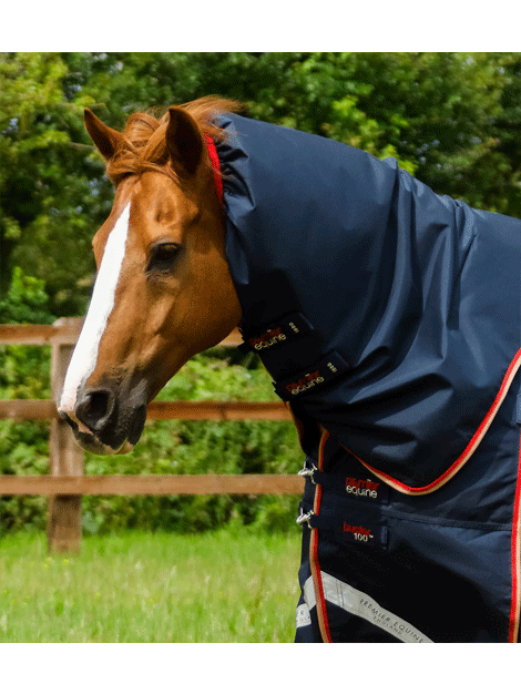 Premier Equine Buster 100g Turnout with Neck Cover