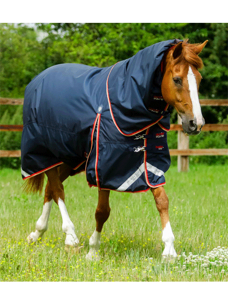 Premier Equine Buster 100g Turnout with Neck Cover