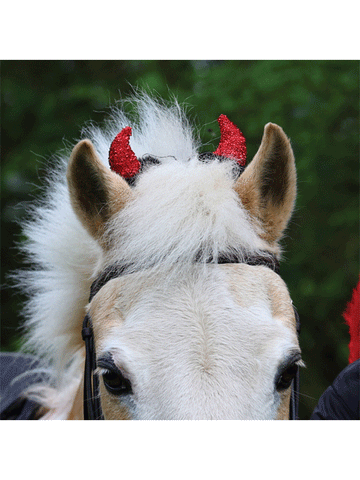 Devil Bridle Horns