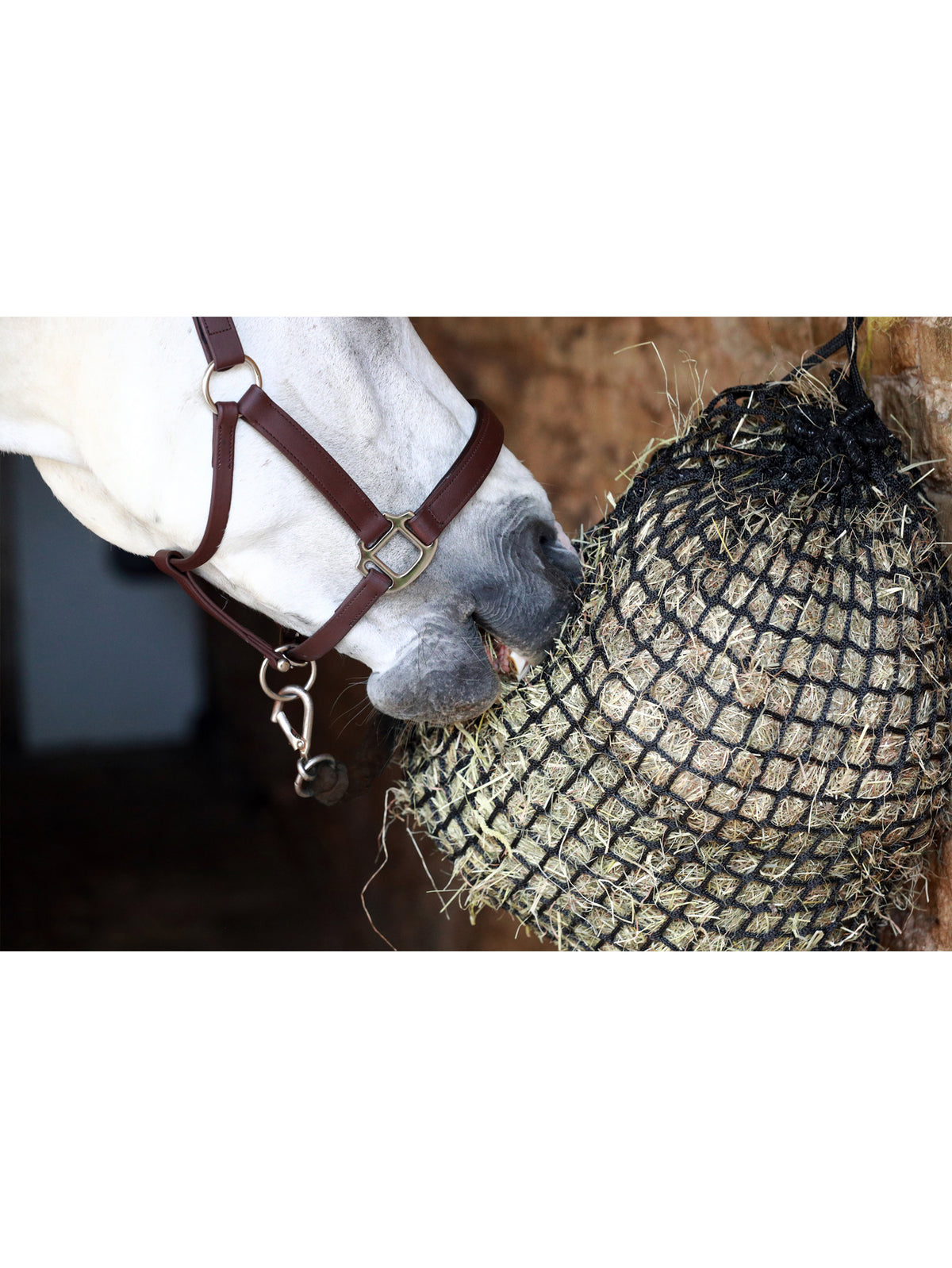 Equilibrium Portion Pacer Haynet