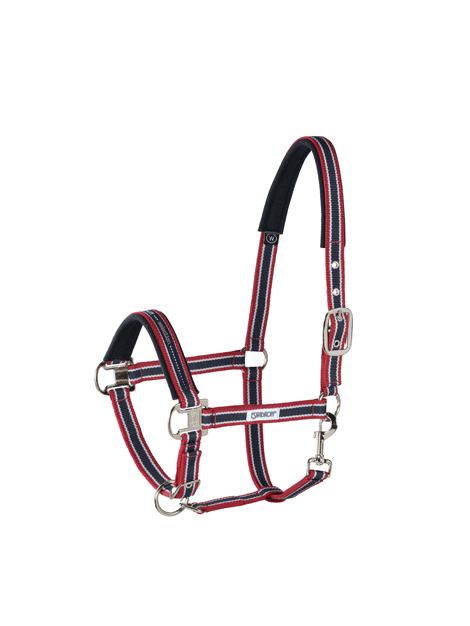 navy red