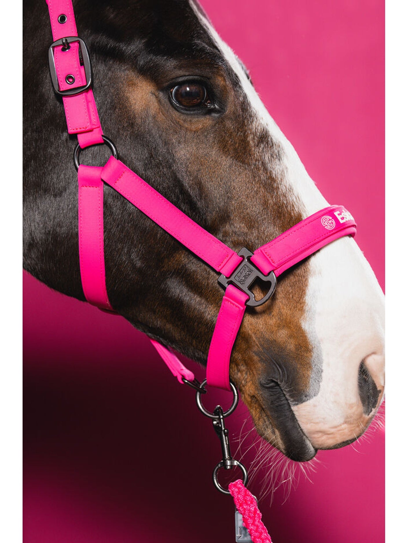 Eskadron Dynamic Hot Pink Softshell Headcollar