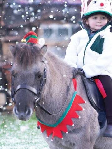 Festive Horse Christmas Breastplate