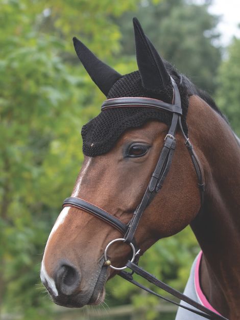 Horse Soundless Ear Net Hood