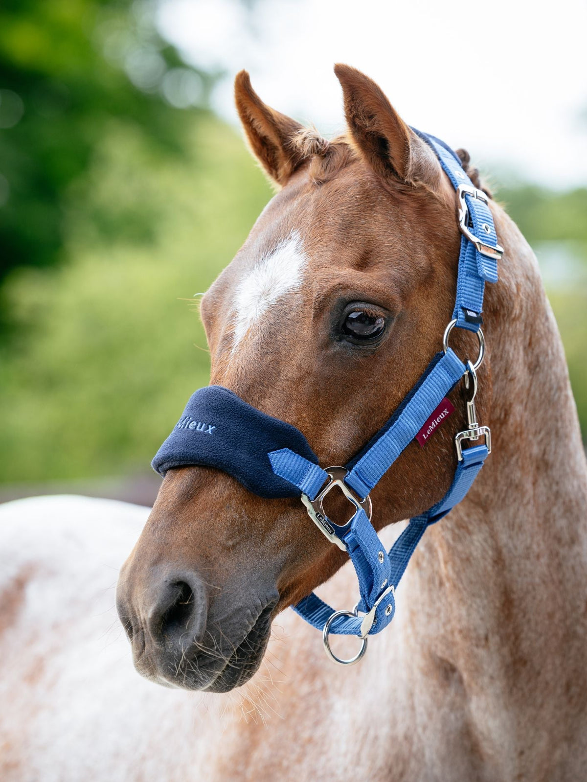 Le Mieux Vogue Fleece Headcollar and Leadrope Set