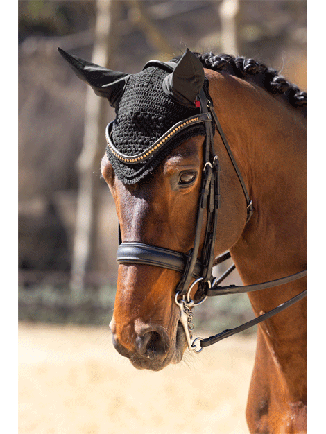 Le Mieux Vogue Fly Hood