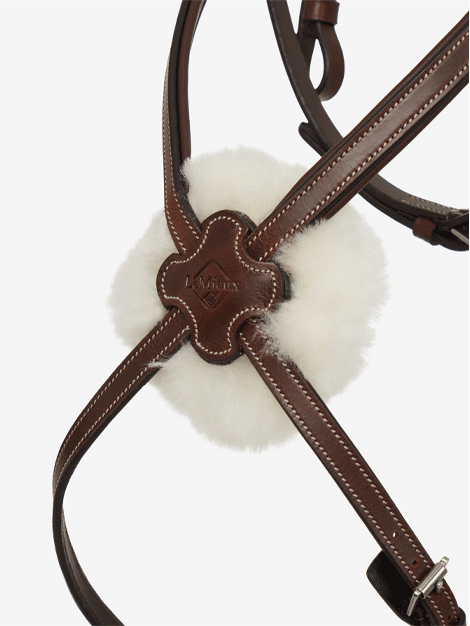Le Mieux Arika Grackle Bridle