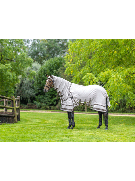 Le Mieux Kudos Sweetitch Rug