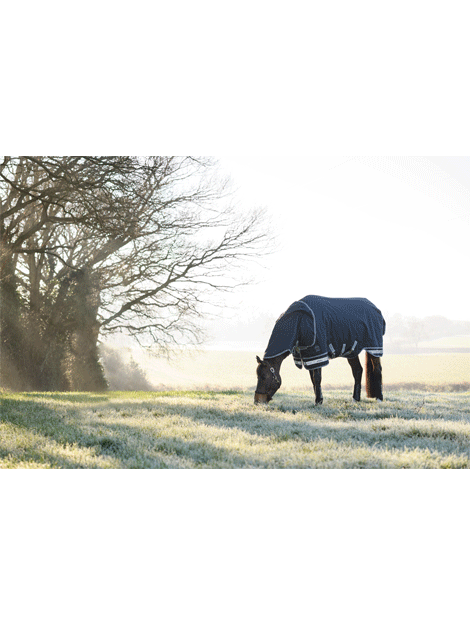 Arika Storm-Tek Rug 100g - Turnout