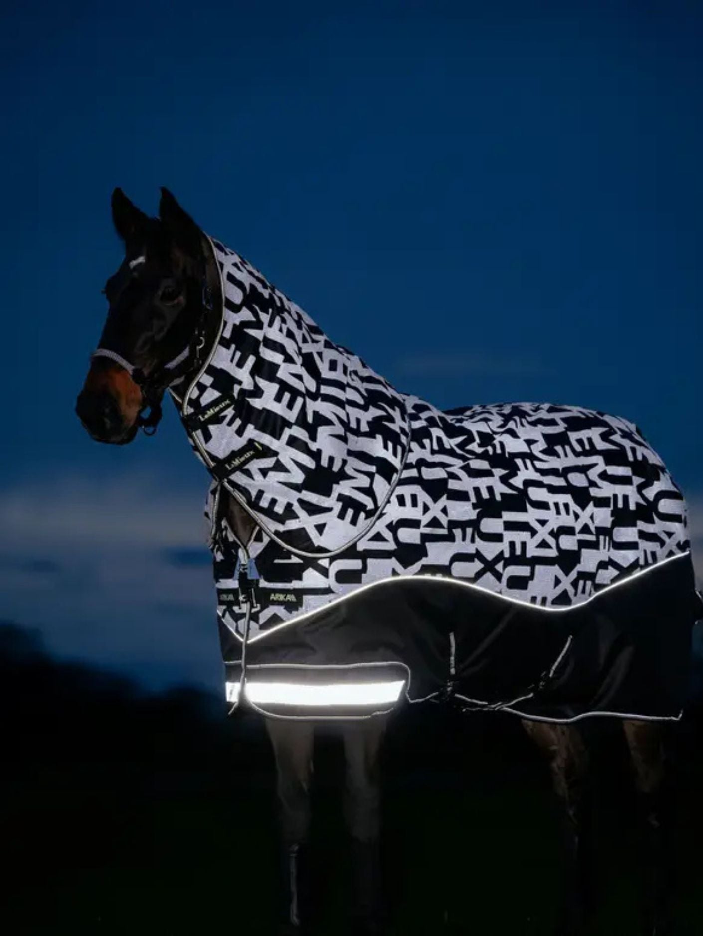 Arika Reflective 100g Turnout Rug- Black - Le Mieux