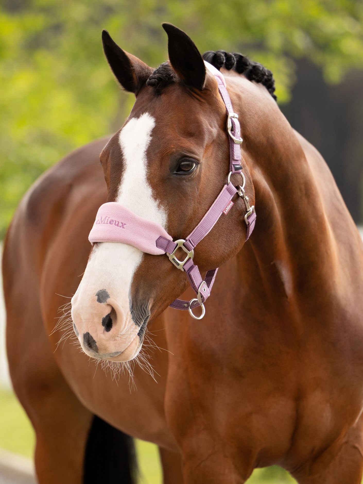Le Mieux Vogue Fleece Headcollar and Leadrope Set