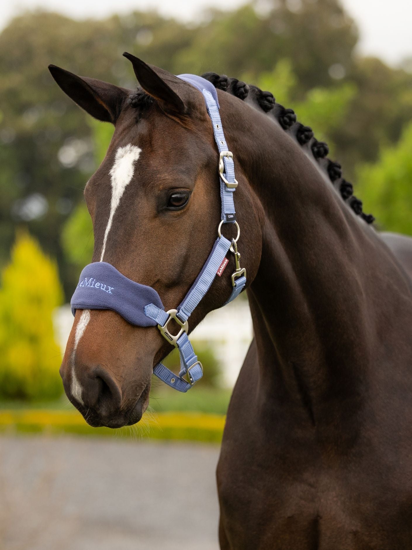 Le Mieux Vogue Fleece Headcollar and Leadrope Set