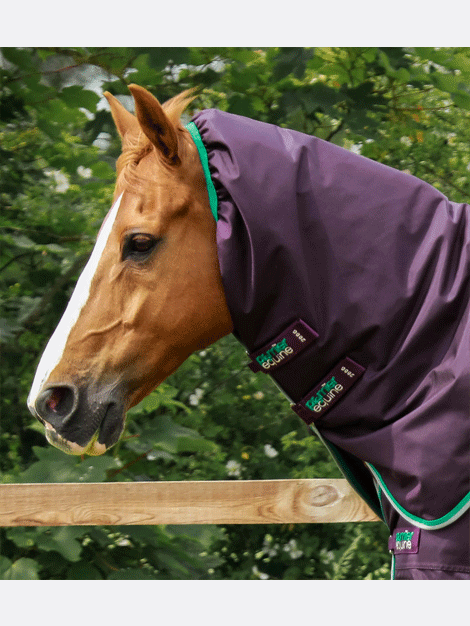 Premier Equine Buster 200g Turnout with Neck Cover