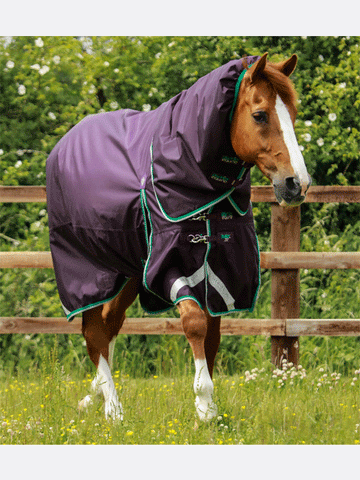 Premier Equine Buster 200g Turnout with Neck Cover
