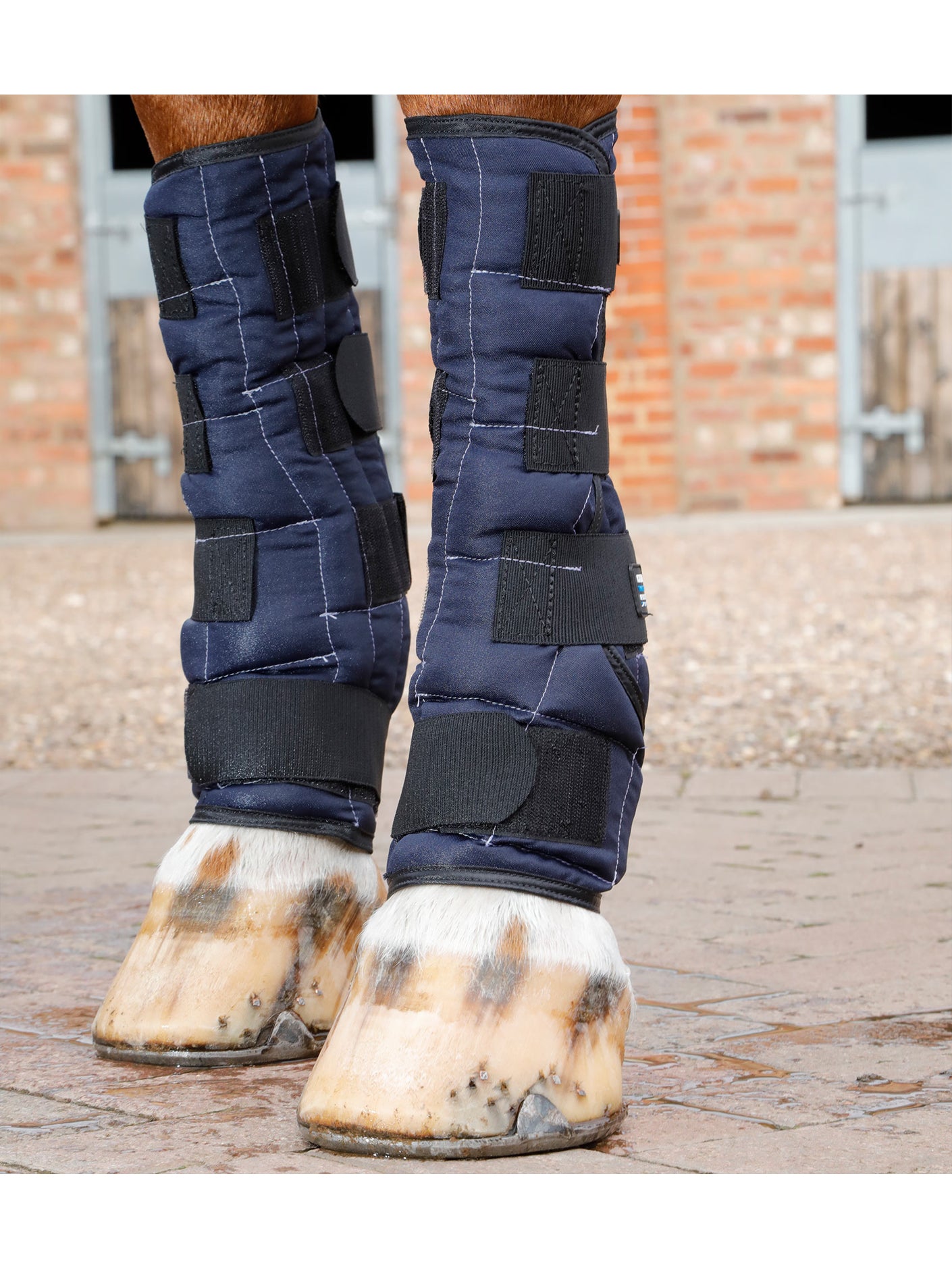 Premier Equine Cold Water Therapy Boots