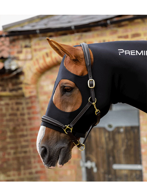 Premier Equine Stretch Lycra Hood