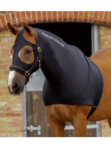 Premier Equine Stretch Lycra Hood