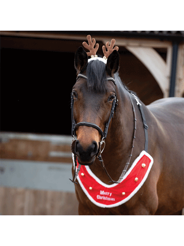 Sleigh bells horse breastplate