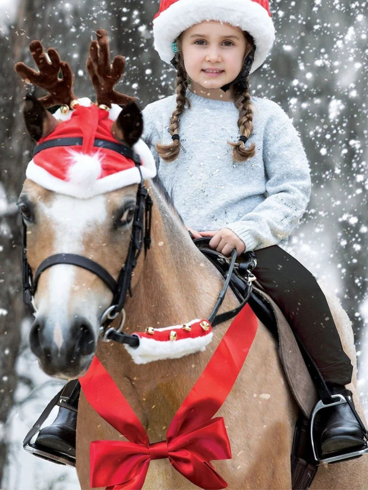 Equetech Sleigh Bell Bridle Accessories