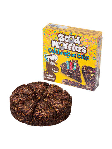 Stud Muffins Celebration Cake
