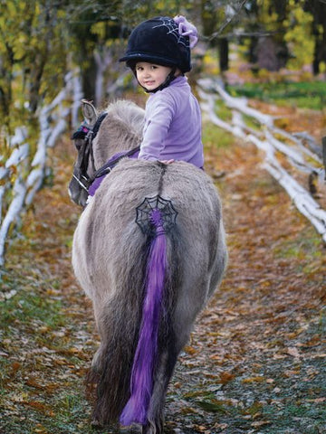 Cobweb Spider Halloween Horse Hat