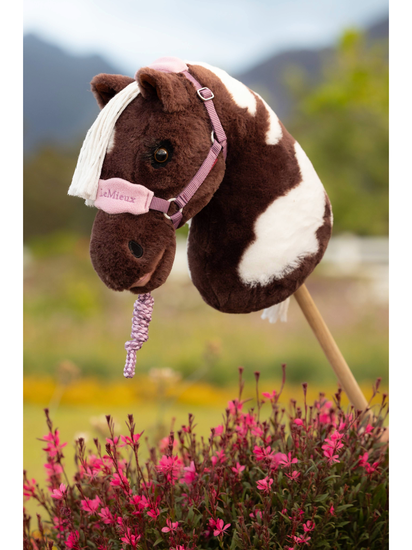 Hobby Horse Headcollar