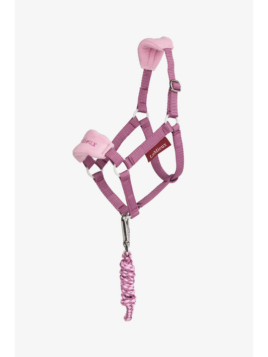 Hobby Horse Headcollar