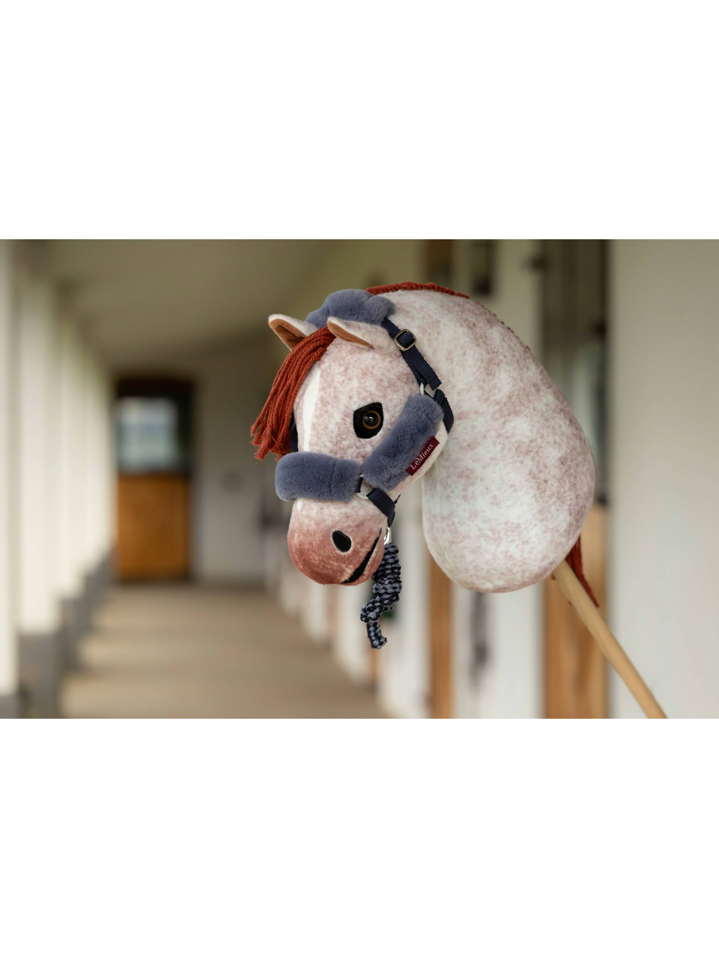 Hobby Horse Headcollar
