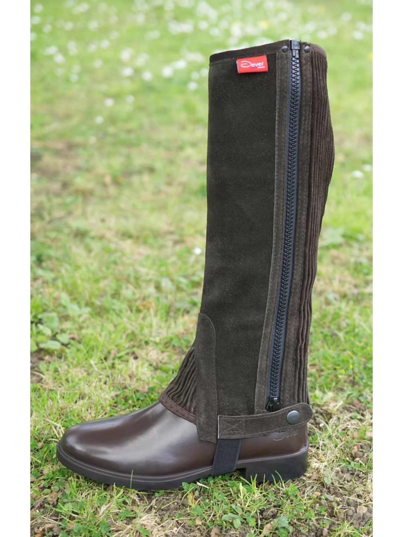 Adults Suede Half Chaps - Dever
