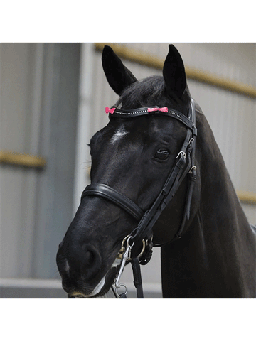 Competition Warning Bridle Ribbons