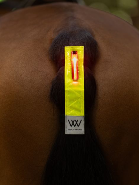LED Hi Viz Tail Light