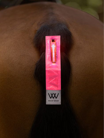 LED Hi Viz Tail Light