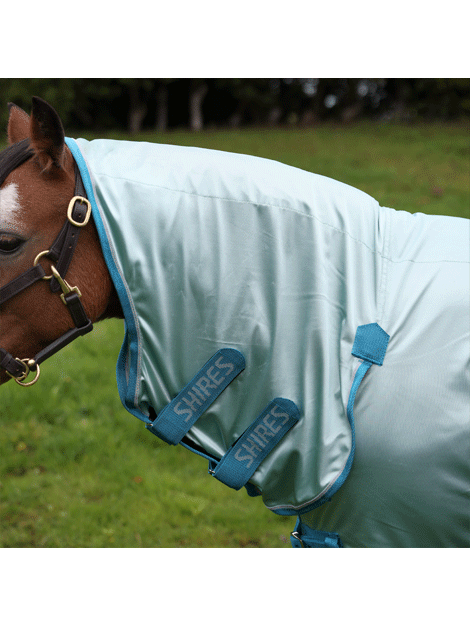 Shires Winnie and Me Fly Combo Rug