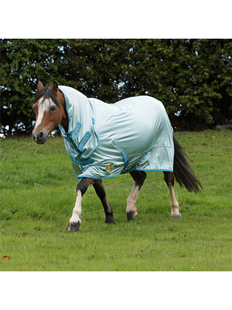 Shires Winnie and Me Fly Combo Rug