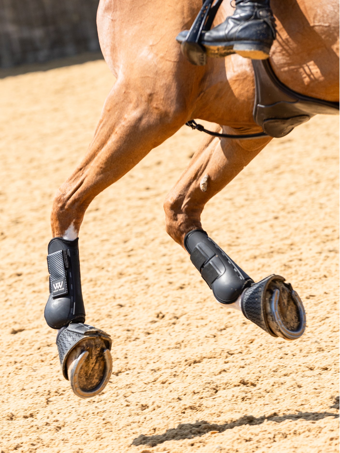 Woof Wear Pro Tendon Boots