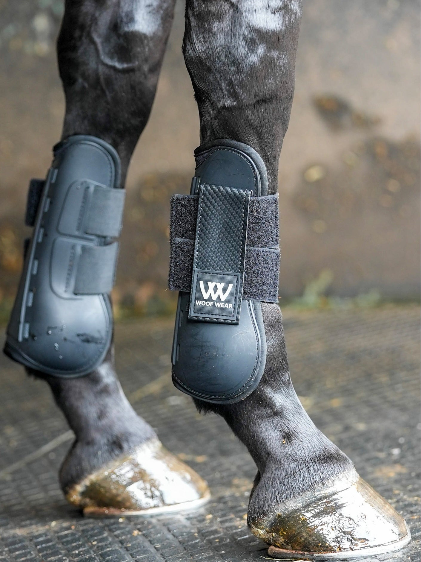 Woof Wear Pro Tendon Boots