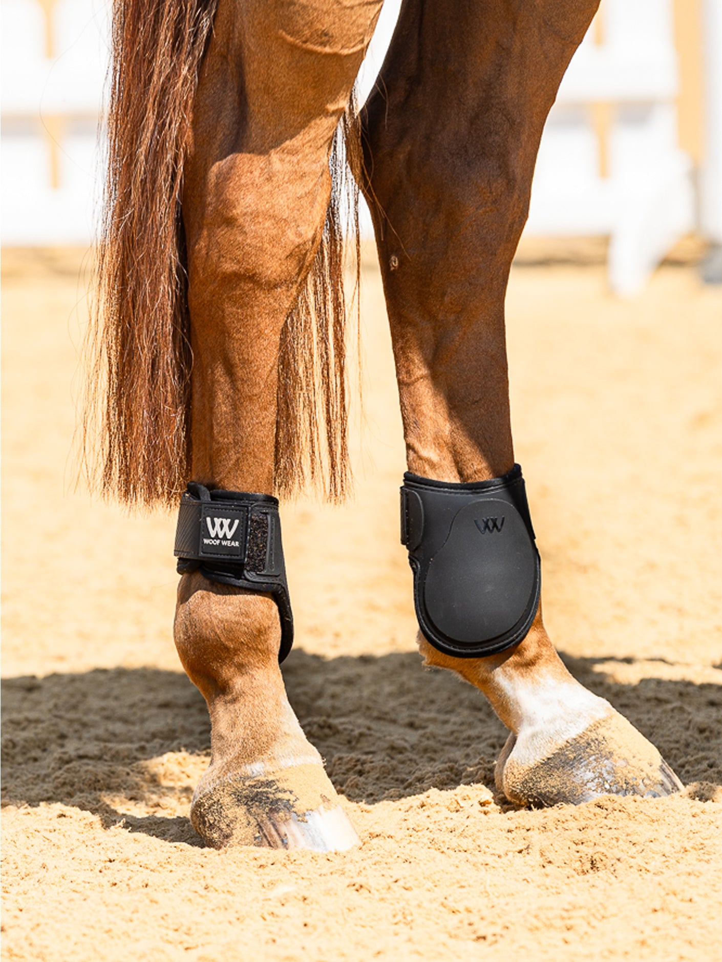 Woof Wear Pro Fetlock Boots