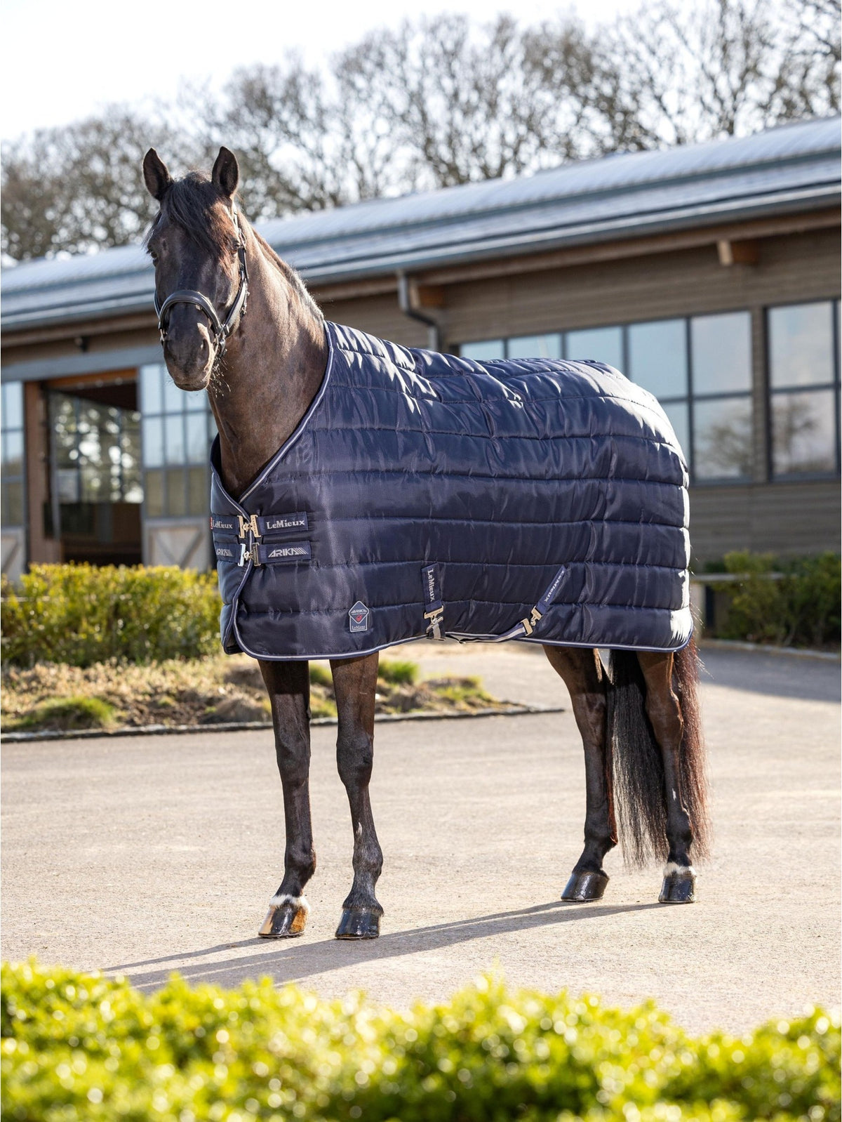 Le Mieux Arika Stable Tek 200g Navy Rug