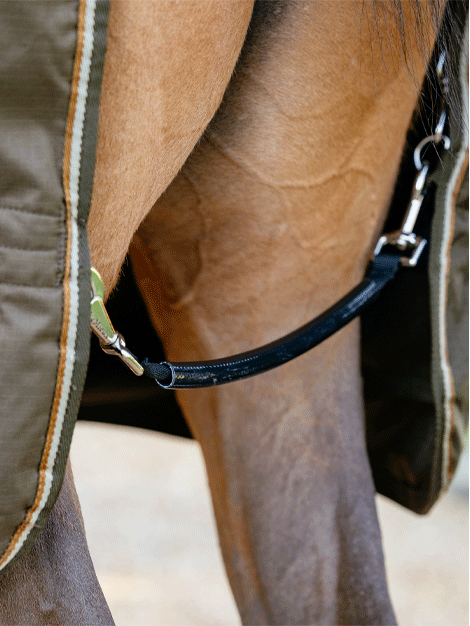 Arika Ripstop Turnout Rug 50g - Alpine