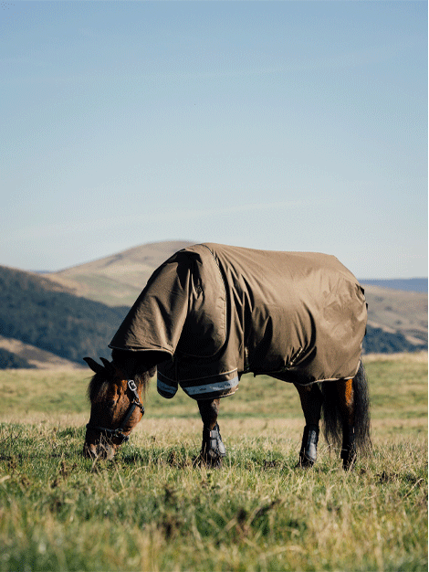 Arika Ripstop Turnout Rug 50g - Alpine