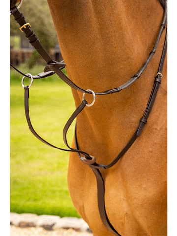 Le Mieux Arika Running Martingale