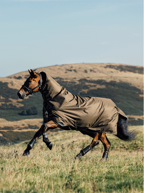 Arika Ripstop Turnout Rug 0g - Alpine