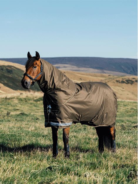 Arika Ripstop Turnout Rug 0g - Alpine