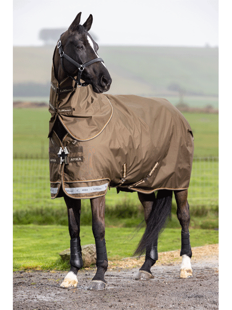 Arika Ripstop Turnout Rug 0g - Alpine