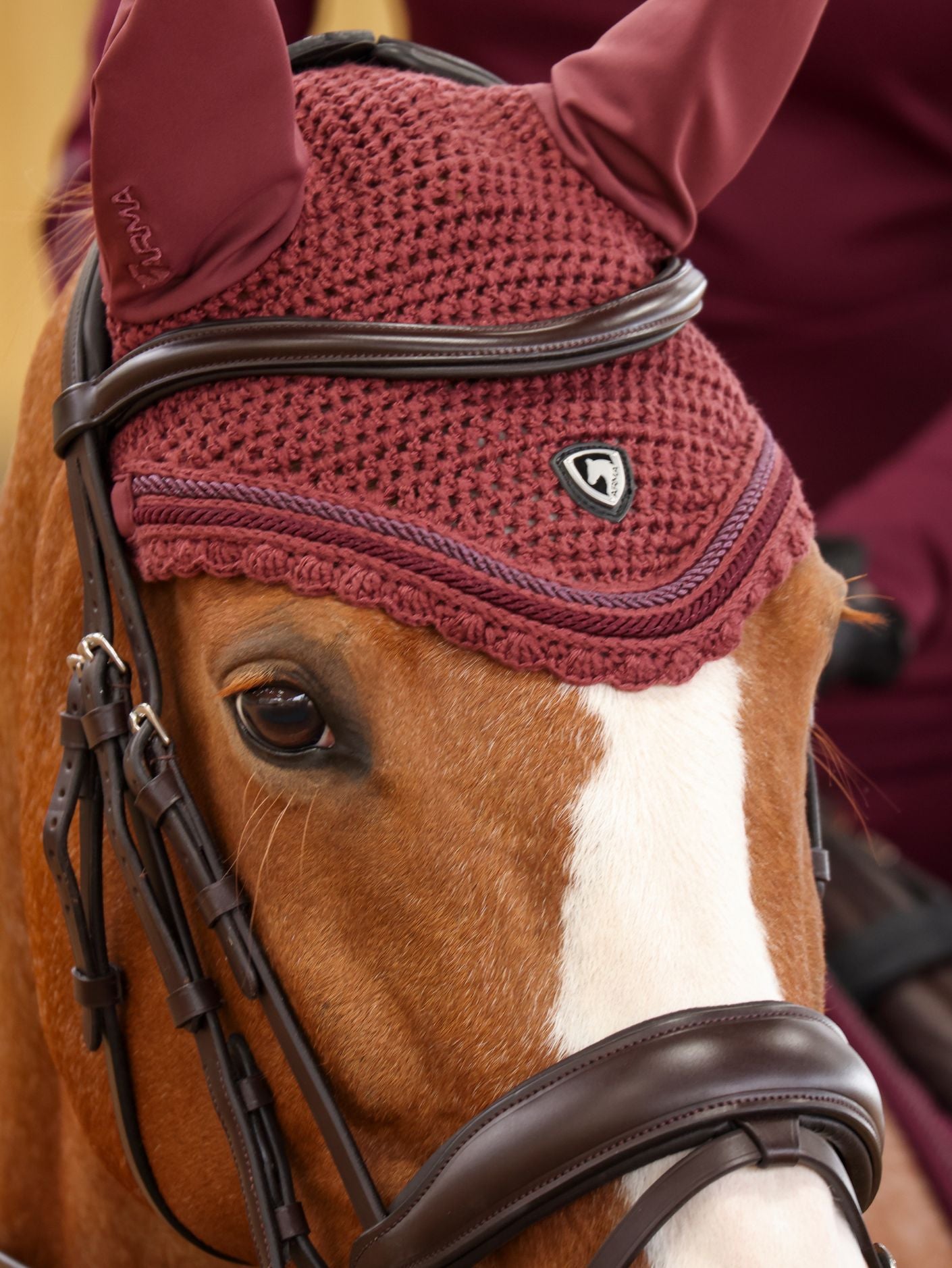 Arma Fly Hood