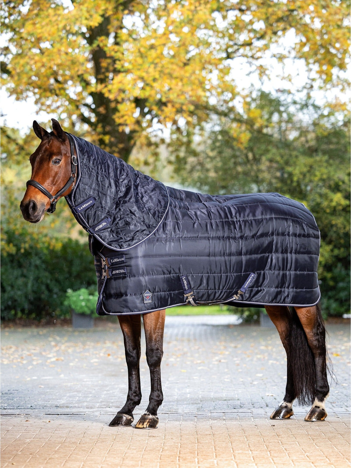 Le Mieux Arika Stable Tek 200g Navy Rug