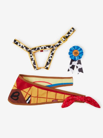 Disney Hobby Horse Accessories