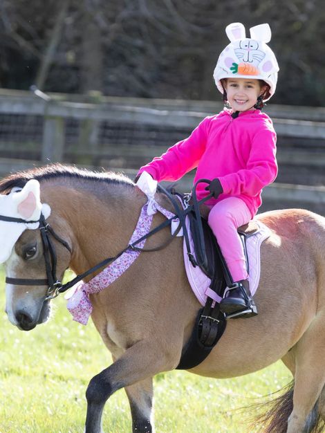 Bunny Rabbit Easter Horse Chest Bow