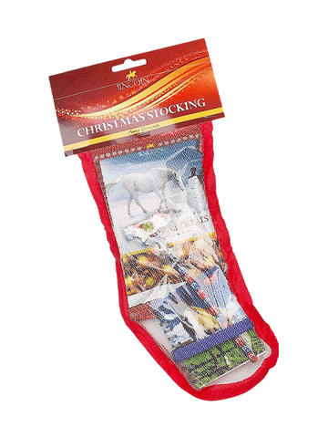 Pony Mad Christmas Stocking