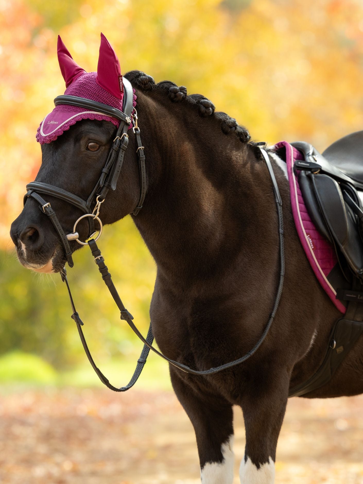 Le Mieux Classic Fly Hood Blackberry